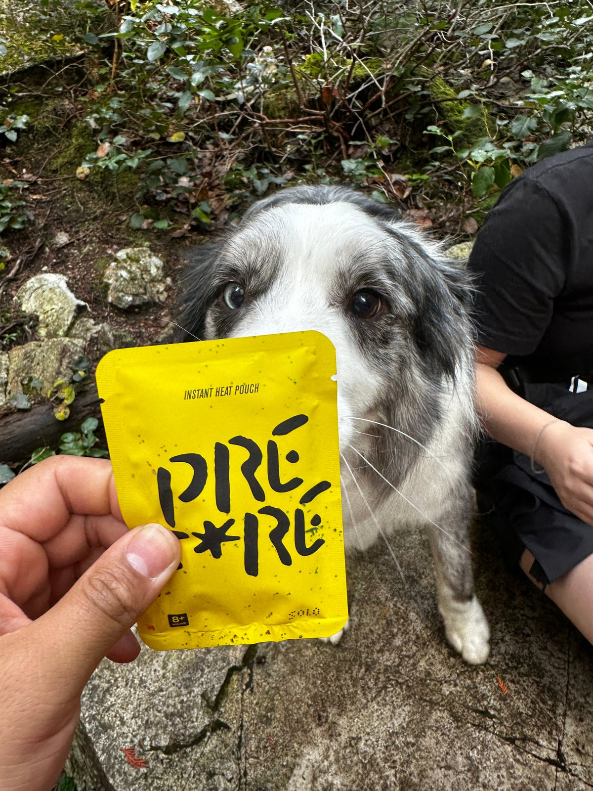 Yellow PREFIRE pouch held up in front of a dog at the crag